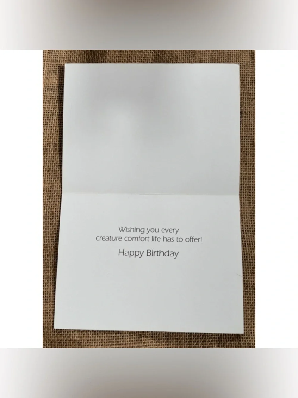 Jade By Jan Hoover Shih Tzu Dog Birthday Card Cute Animal Sweet Twee Framable